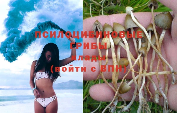 гашиш Абаза