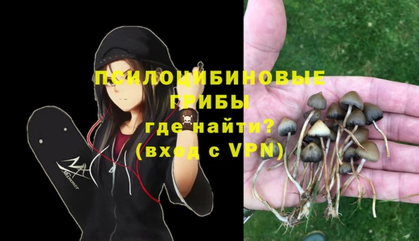 бошки Абинск