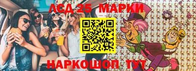 шишки Бийск