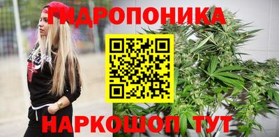 гашик Бузулук