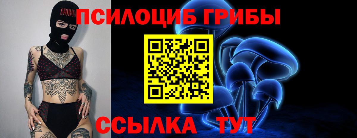 ГАШ Касимов