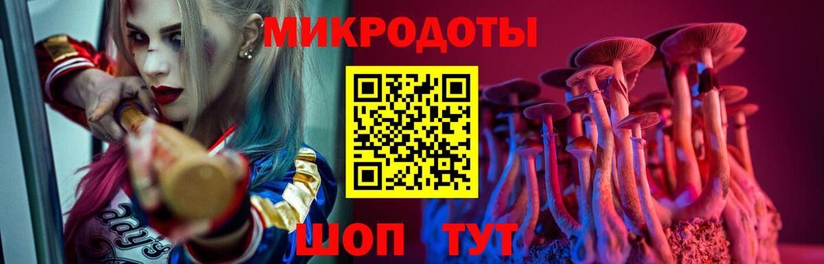Галлюциногенные грибы Cubensis Касимов