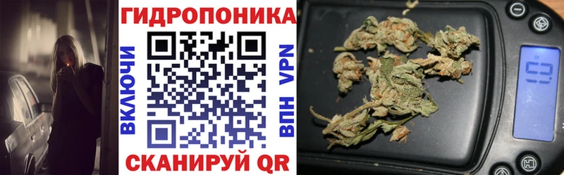 МЕГА ССЫЛКА  Касимов  Канабис White Widow  цена наркотик 